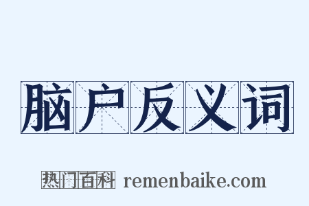 脑户反义词是什么意思的图片